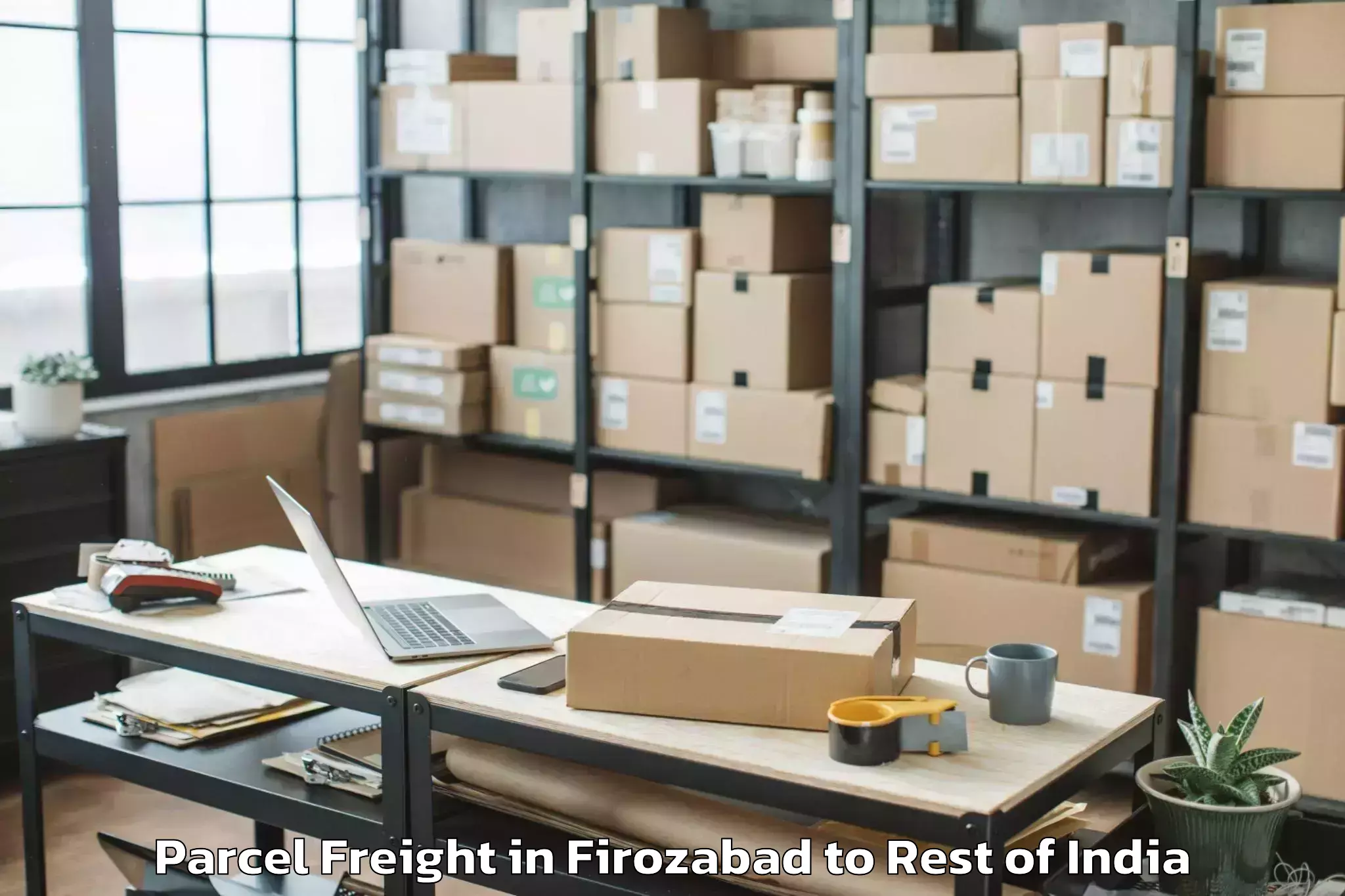 Top Firozabad to Marshaghai Parcel Freight Available